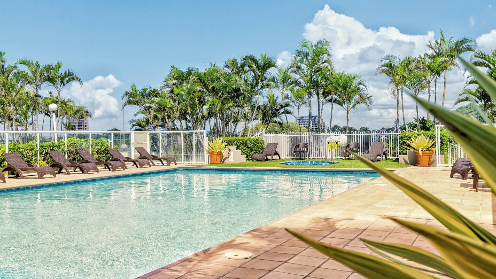 Resort pool area surrounded by palm trees at ULTIQA Points North.